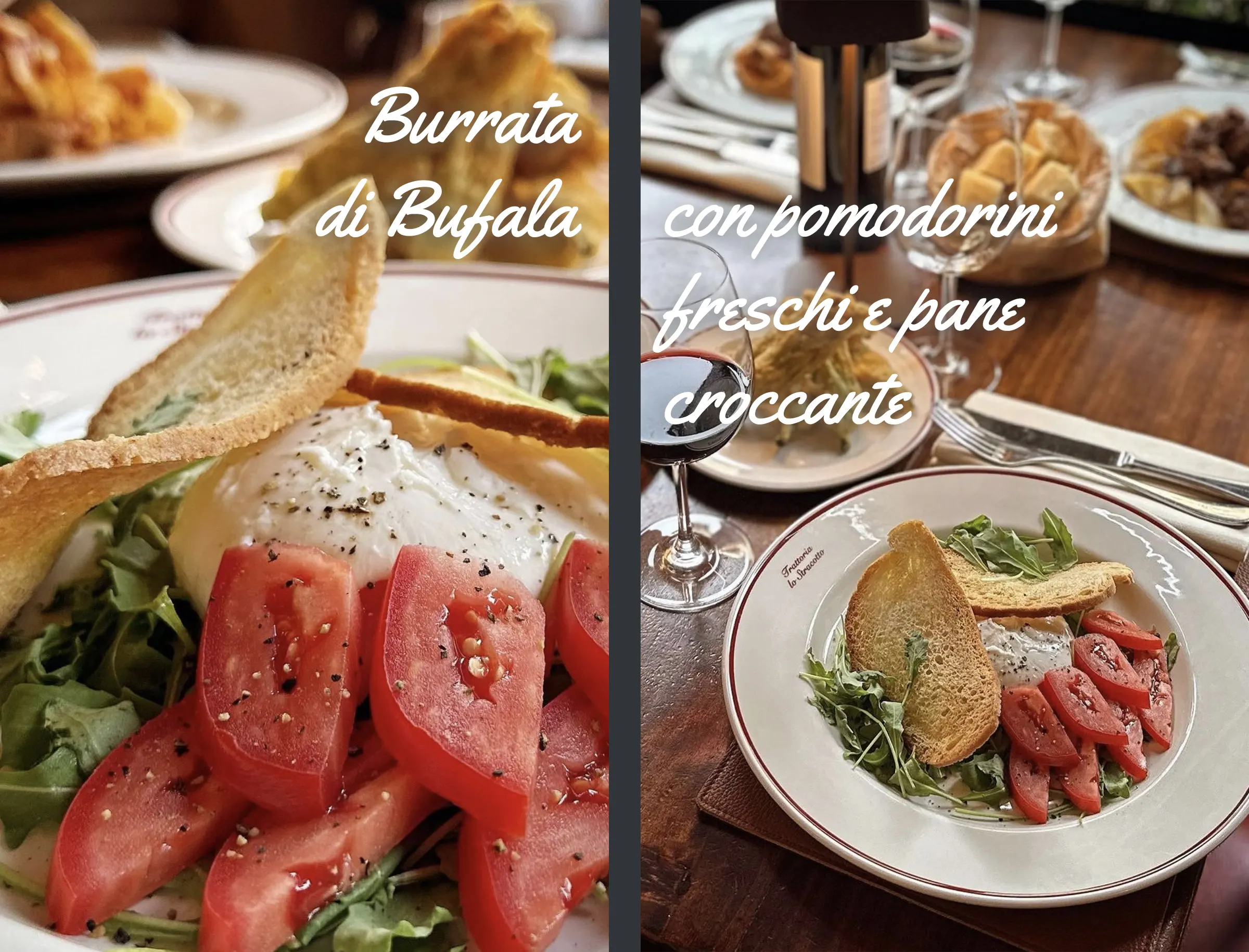 burrata bufala pomodorini stracotto firenze
